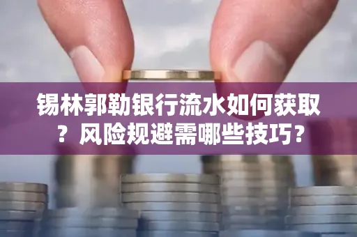 锡林郭勒银行流水如何获取?风险规避需哪些技巧?
