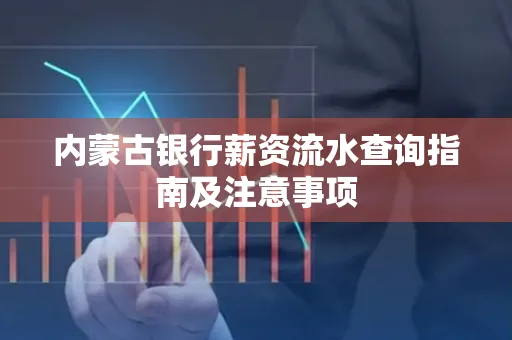 内蒙古银行薪资流水查询指南及注意事项