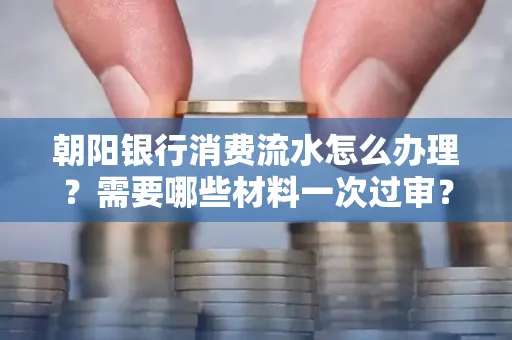 朝阳银行消费流水怎么办理?需要哪些材料一次过审?