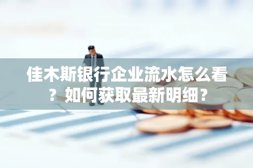 佳木斯银行企业流水怎么看?如何获取最新明细?