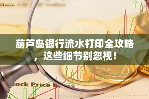 葫芦岛银行流水打印全攻略,这些细节别忽视!