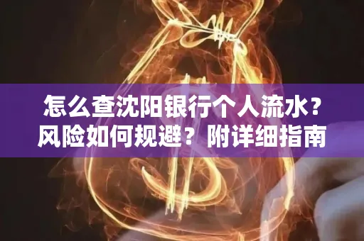 怎么查沈阳银行个人流水?风险如何规避?附详细指南