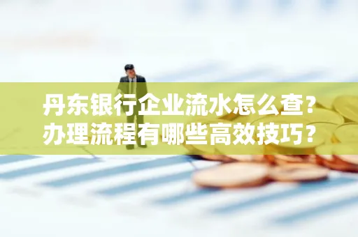 丹东银行企业流水怎么查？办理流程有哪些高效技巧？