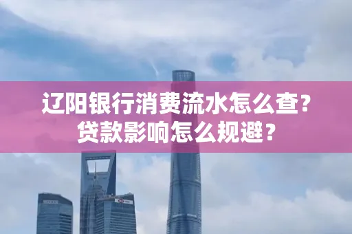 辽阳银行消费流水怎么查?贷款影响怎么规避?