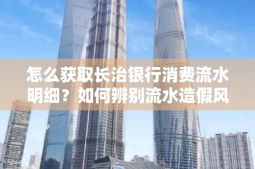 怎么获取长治银行消费流水明细？如何辨别流水造假风险？