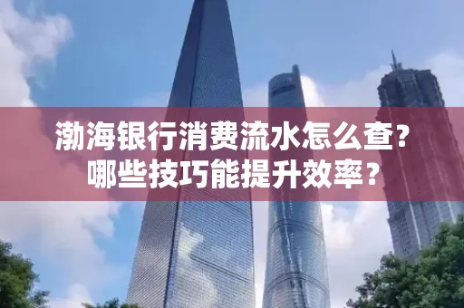 渤海银行消费流水怎么查?哪些技巧能提升效率?