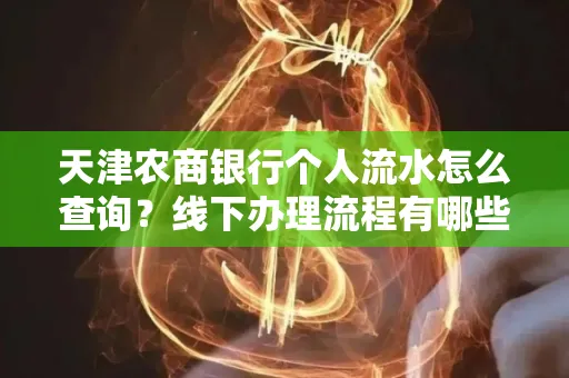 天津农商银行个人流水怎么查询？线下办理流程有哪些？高效省时技巧