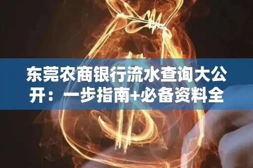 东莞农商银行流水查询大公开:一步指南+必备资料全解读