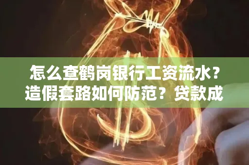 怎么查鹤岗银行工资流水?造假套路如何防范?贷款成功率翻倍攻略