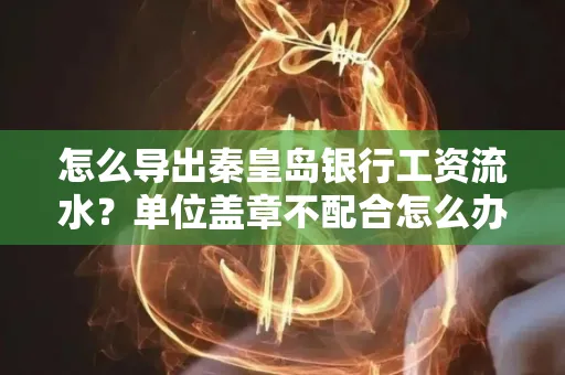 怎么导出秦皇岛银行工资流水?单位盖章不配合怎么办?
