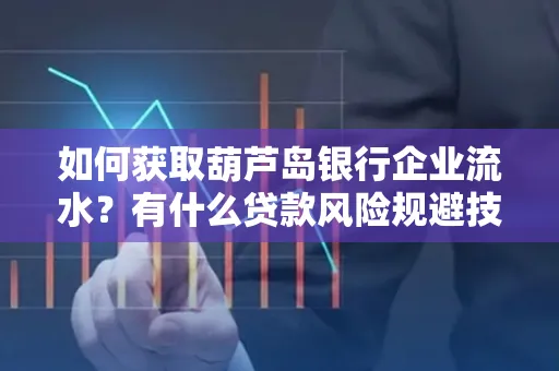 如何获取葫芦岛银行企业流水?有什么贷款风险规避技巧?