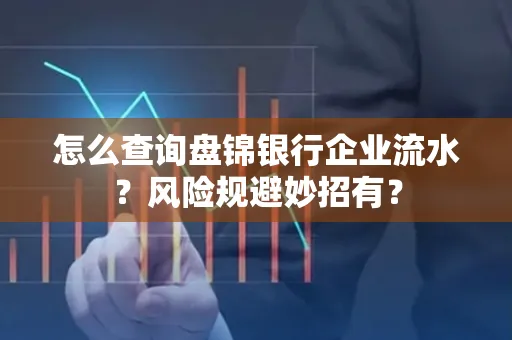 怎么查询盘锦银行企业流水?风险规避妙招有?