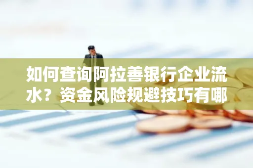 如何查询阿拉善银行企业流水？资金风险规避技巧有哪些？