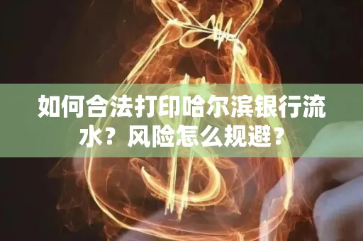 如何合法打印哈尔滨银行流水？风险怎么规避？