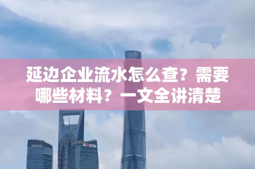 延边企业流水怎么查？需要哪些材料？一文全讲清楚