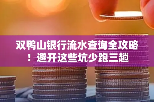 双鸭山银行流水查询全攻略！避开这些坑少跑三趟