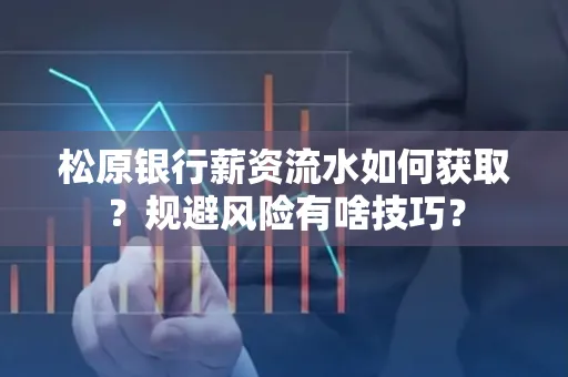 松原银行薪资流水如何获取？规避风险有啥技巧？