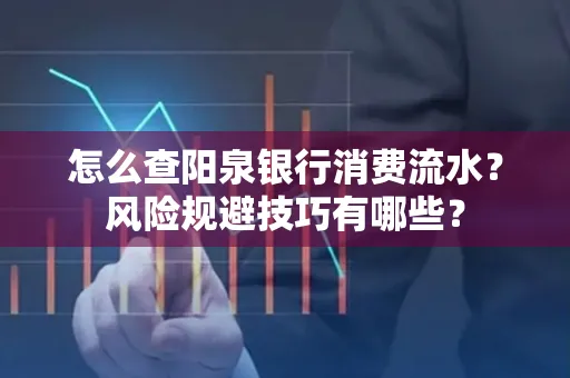 怎么查阳泉银行消费流水？风险规避技巧有哪些？