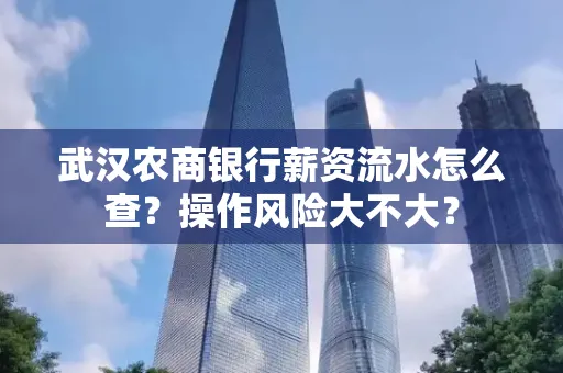 武汉农商银行薪资流水怎么查?操作风险大不大?