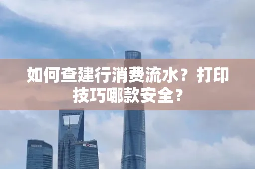 如何查建行消费流水?打印技巧哪款安全?